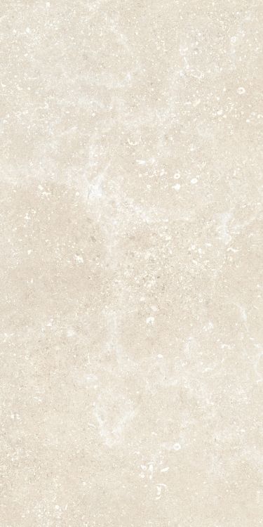 Untamed Wander Warm 12 x 24